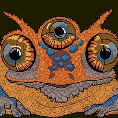 moneyfornuffin's profile picture. 