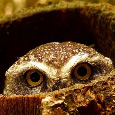 travelerz1515's profile picture. compounding