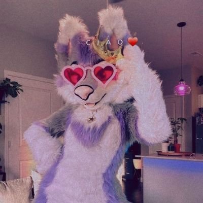 HzelFur7423's profile picture. She/her furry girl   25   & Love to make new friends:33 💜