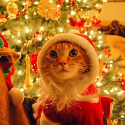 onllyoneleft's profile picture. 18 🎃