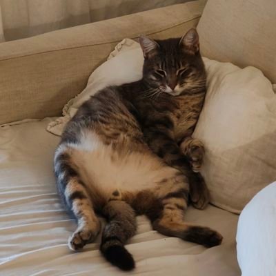 endrroc's profile picture. biòleg perquè magrada celebrar la biologia i més perdut que un cargol al desert