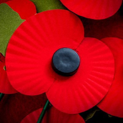 redbrowny31's profile picture. Forest & Outlaw fan living in the middle of Derbyshire! Often found on the front row of the Trent End upper tier!! Frequent caravanner!