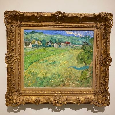 zoledini's profile picture. I hodl NFT's and Crypto