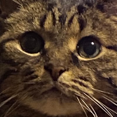 Jacob615378's profile picture. subscribe to my YouTube @youtube / follow my twitch channel @twitch / #gaming #fortnite