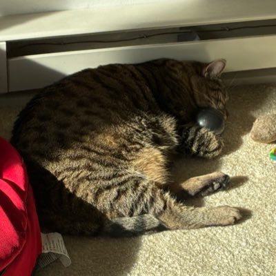 GenevieveOC7's profile picture. Love animals & nature, arts & music (esp. MJ), fitness (incl. Dance) & nutrition; Avid reader & movie buff; Always up for an adventure! 🏊‍♂️🚴🏃🎾⛰️🚣‍♂️🕺