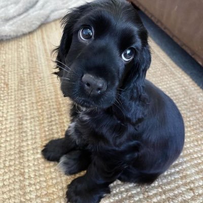 malpa24's profile picture. life