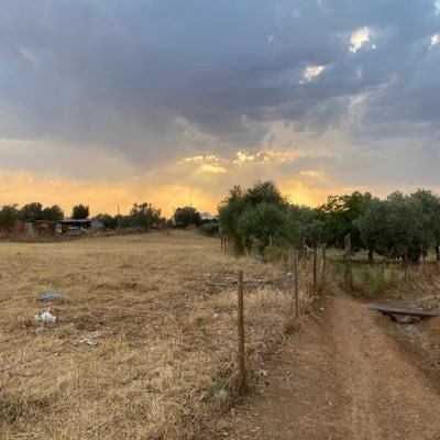 smillleeaz's profile picture. 