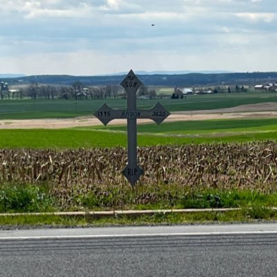 Kimdq5's profile picture. 