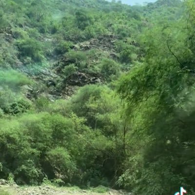 kxesku's profile picture. 💚🤍 💚🤍