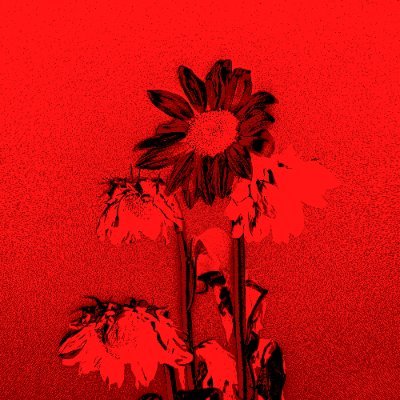 megazombiewhale's profile picture. Suno music is the future