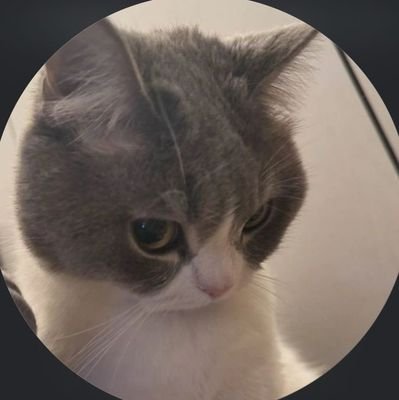 amy73437's profile picture. 