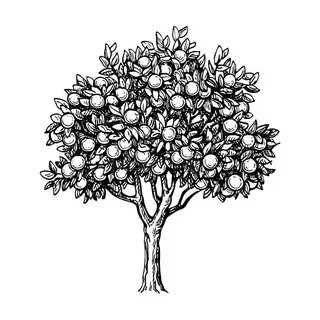 CarlosHodg75796's profile picture. 