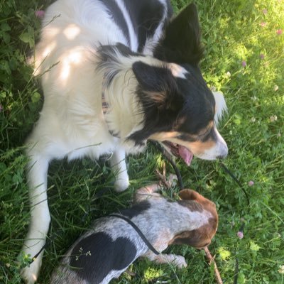 Maddogmorgan33's profile picture. Bengals homer. i like football and funny stuff. HVAC tech. I will fix YOUR air conditioner