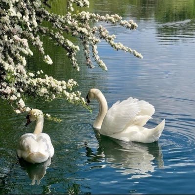 benaelkhafify's profile picture. 