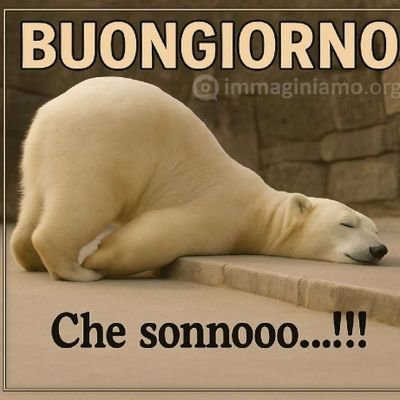 Mariang72090374's profile picture. Ho creato un gestionale senza scrivere codice ✨ Con @Emergent