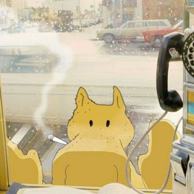 lennon_joh66494's profile picture. I am John lemon 14/born 9/11