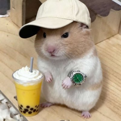 0x_Crash's profile picture. Builder