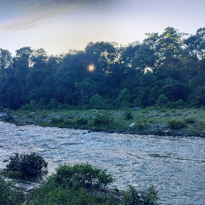 lu8797828329946's profile picture. 