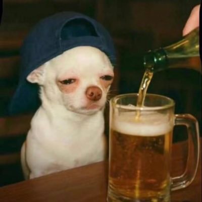 Mounta_D's profile picture. #TeamSenegal ,#Dubnation ⏳