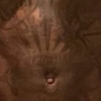 Attic967016's profile picture. 👻:treshawnnam2021