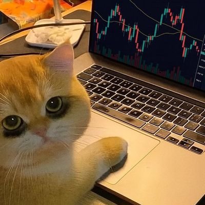 Premchinna6's profile picture. Crypto channel Analysis