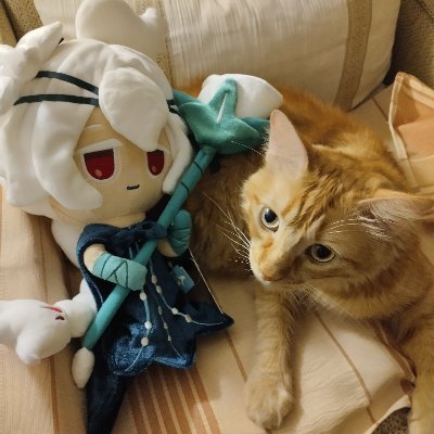 Marbletooon's profile picture. 23 
Cookies root in my brain, i might be projecting on them too...