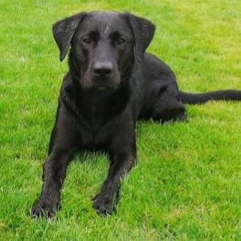 Maik_220877's profile picture. 