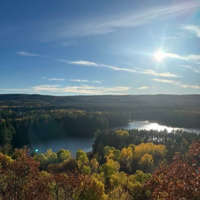 getcozynd's profile picture. Go Sens Go. SKOL. Cavs.