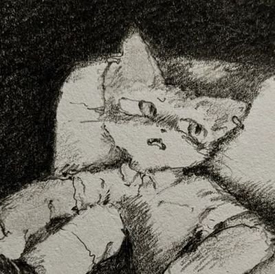 utorrentesangui's profile picture. 17yo
furry
mx
dont block meee
meow