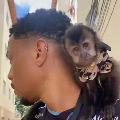 wesxvaz's profile picture. no wahala / almost in Canaan