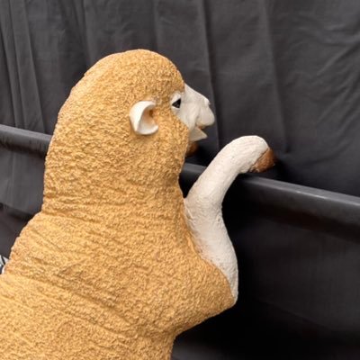 Ficus2025's profile picture. 結局、読書アカウントと統合することにした。