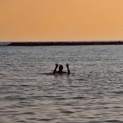 _gameofdice's profile picture. 