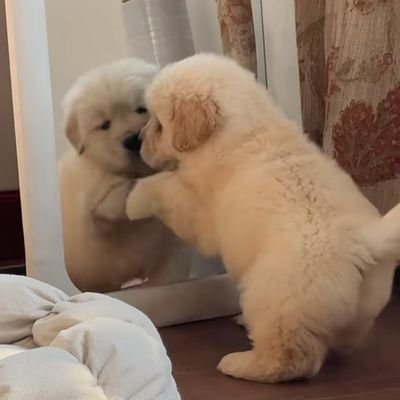 bbok_seung's profile picture. 🐶🫶