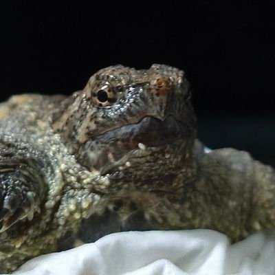 htmdMMG's profile picture. 你好