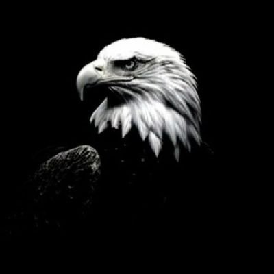 onlyonebazooka's profile picture. 