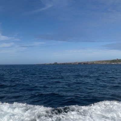 Ciane69671129's profile picture. 