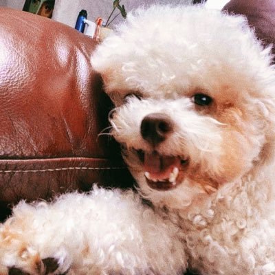 hrcaiknjmsh_'s profile picture. 💀