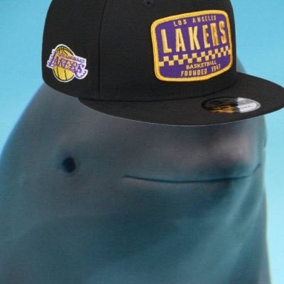 onefinesmoothie's profile picture. *donald fagen voice* 🎶this dolphin is free🎶