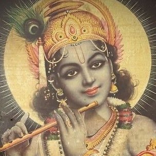 corislupus's profile picture. 21 | sou estudante de biologia e posso afirmar que este animal (eu) está sofrendo muito