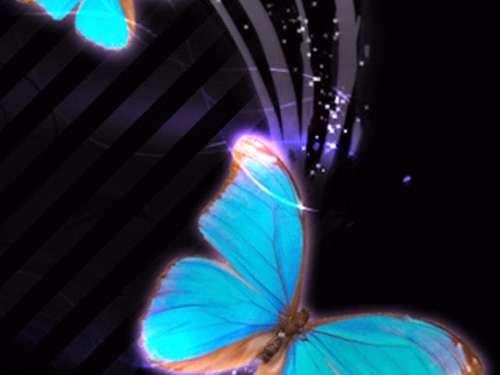 t_villagran's profile picture. 