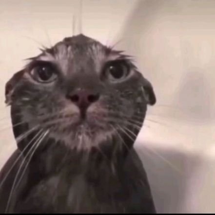 keagerrs's profile picture. 20 | #1 @valynfps and @auxgidx fan