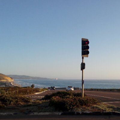 sasan_ct_203's profile picture. 