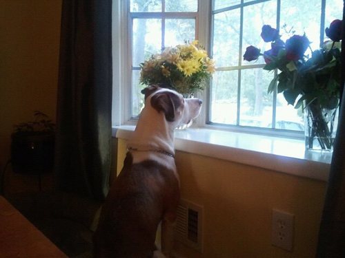 justsweeps's profile picture. 