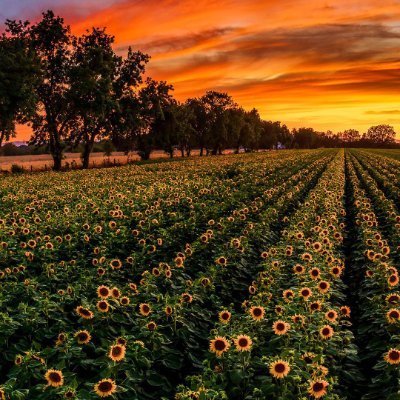 trestan_peery's profile picture. 