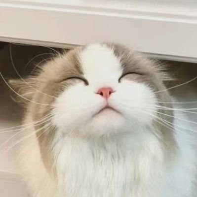 Miniyue808's profile picture. fortpeat🥰