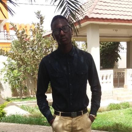 shaibehsuso's profile picture. 