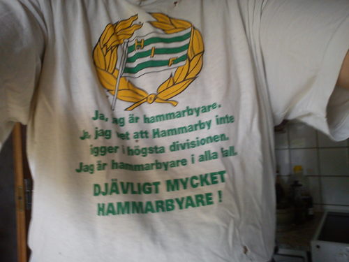 Hammarby , Bajen