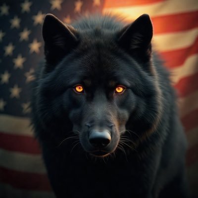 WolfLegion1776's profile picture. 
