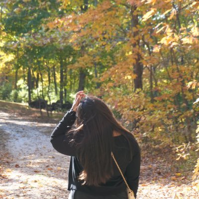 ananyayayy's profile picture. 