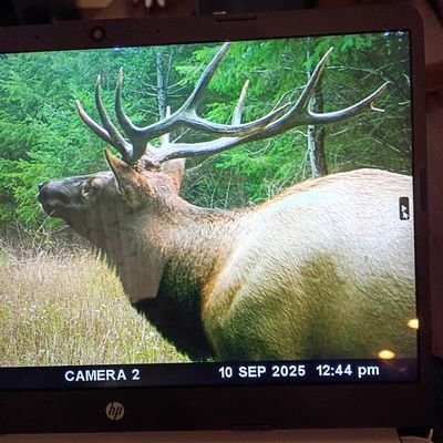 RickGuimond's profile picture. whatever!